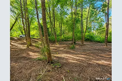 463 Mashamoquet Road, Pomfret, CT 06259 - Photo 5