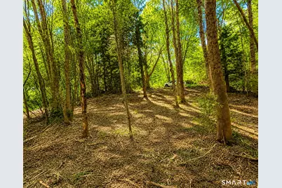463 Mashamoquet Road, Pomfret, CT 06259 - Photo 3