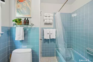51 Cornell Rd, Danbury, CT 06811 - Photo 31