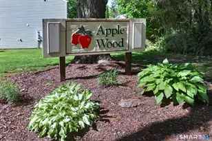 24 Winesap Ct, Ansonia, CT 06401 - Photo 23