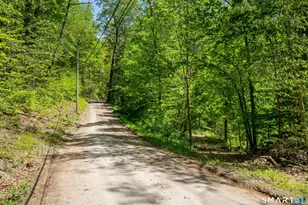 47 Stagecoach Run, East Hampton, CT 06424 - Photo 9