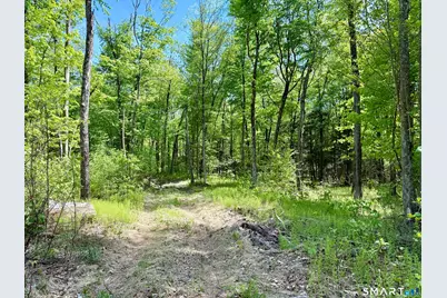 47 Stagecoach Run, East Hampton, CT 06424 - Photo 25