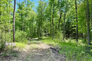 47 Stagecoach Run, East Hampton, CT 06424 - Photo 25
