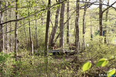 00 Mt. Tom Passway, Morris, CT 06763 - Photo 11