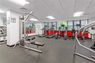 44 Strawberry Hill Ave, Stamford, CT 06902 - Photo 23