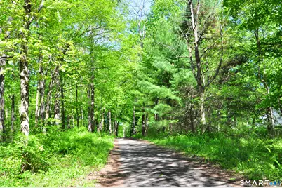 63 Shearer Road, Washington, CT 06793 - Photo 39