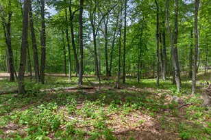 53 & 71 Hermitage Ln, North Haven, CT 06473 - Photo 33