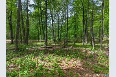 71 & 53 Hermitage Lane, North Haven, CT 06473 - Photo 33