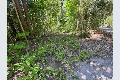 0 Wooster Street, Naugatuck, CT 06770 - Photo 1