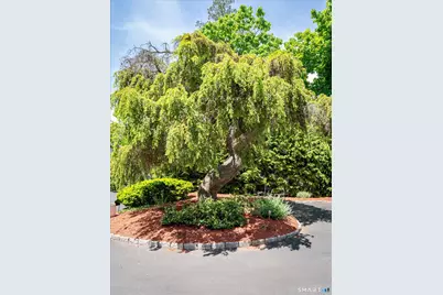 12 Urban Street, Stamford, CT 06905 - Photo 31