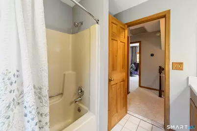 225 Bethmour Road, Bethany, CT 06524 - Photo 29