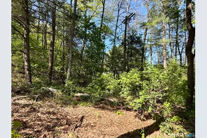 4 West Side Drive, Barkhamsted, CT 06063 - Photo 15
