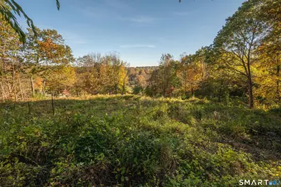 3 Morrissey Lane, Bridgewater, CT 06752 - Photo 39