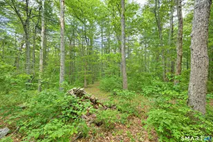 142 Brown Rd, Voluntown, CT 06384 - Photo 17