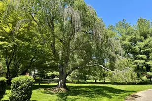 22 Dawn Dr, Westport, CT 06880 - Photo 17