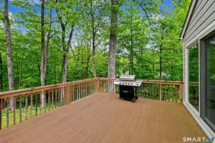 54 Butternut Ln, Stamford, CT 06903 - Photo 35