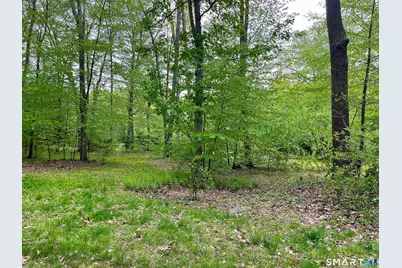 Meadow Brook Road, Hebron, CT 06231 - Photo 7
