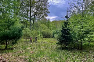 Meadow Brook Rd, Hebron, CT 06231 - Photo 1