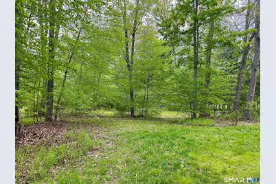Meadow Brook Road, Hebron, CT 06231 - Photo 3