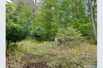 Meadow Brook Road, Hebron, CT 06231 - Photo 9