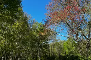 408 Martin Rd, Hebron, CT 06248 - Photo 1