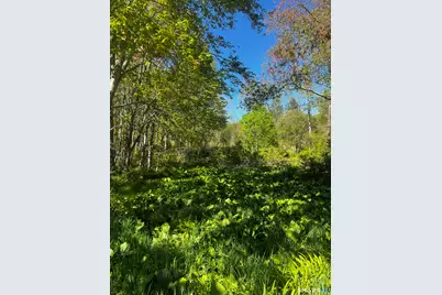 408 Martin Road, Hebron, CT 06248 - Photo 5