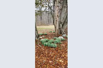 [Address not provided], Bethany, CT 06524 - Photo 3