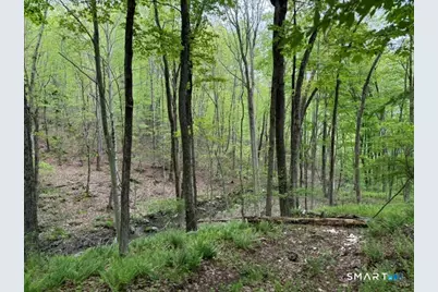 Lot10-B1 Foot Hills Road, Haddam, CT 06438 - Photo 5