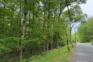 Lot10-B1 Foot Hills Rd, Haddam, CT 06438 - Photo 1