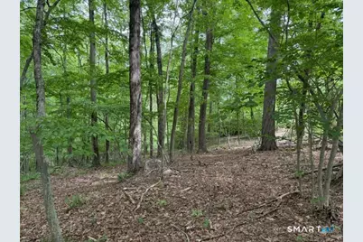 Lot10-B1 Foot Hills Road, Haddam, CT 06438 - Photo 15