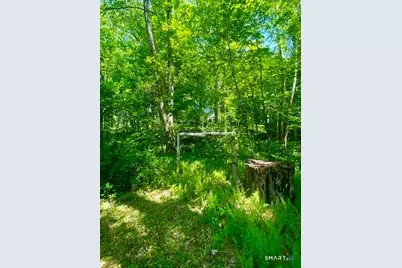 19 Moodus Leesville Road, East Haddam, CT 06469 - Photo 29