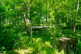 19 Moodus Leesville Rd, East Haddam, CT 06469 - Photo 29