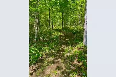 19 Moodus Leesville Road, East Haddam, CT 06469 - Photo 33