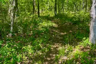 19 Moodus Leesville Rd, East Haddam, CT 06469 - Photo 33