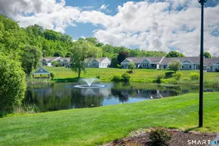 46 Elizabeth Cir, Newtown, CT 06482 - Photo 37