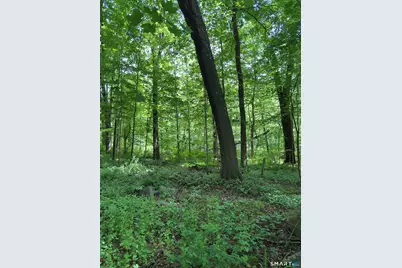 319 White Oak Trail, Winchester, CT 06098 - Photo 1