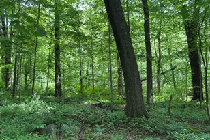319 White Oak Trl, Winchester, CT 06098 - Photo 1