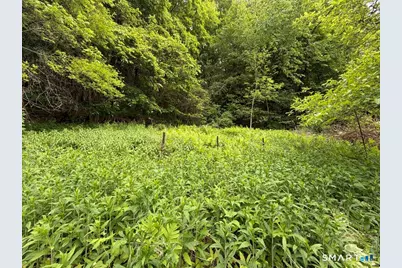 48 Lower River Road, Cornwall, CT 06796 - Photo 23