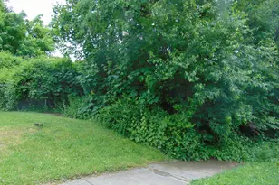 160 Edson Ave, Waterbury, CT 06705 - Photo 5