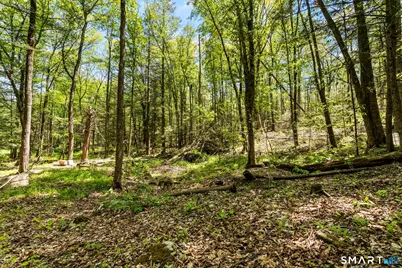 321 Colebrook Road, Winchester, CT 06098 - Photo 9