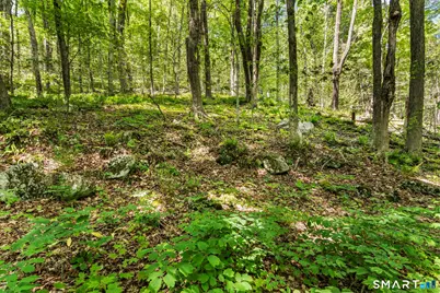 321 Colebrook Road, Winchester, CT 06098 - Photo 29