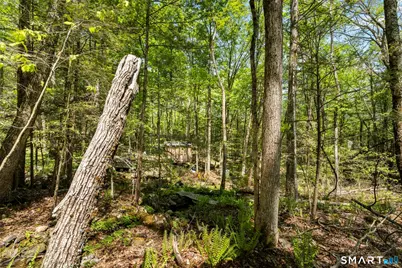 321 Colebrook Road, Winchester, CT 06098 - Photo 15