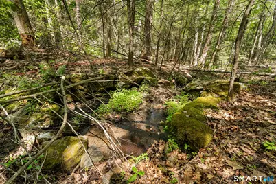 321 Colebrook Road, Winchester, CT 06098 - Photo 19