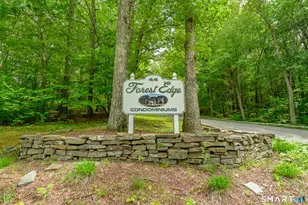 44 Tolland Ave, Stafford, CT 06076 - Photo 37