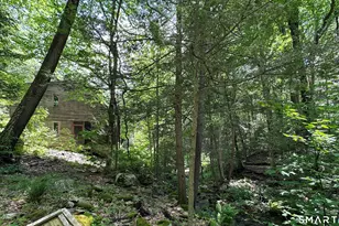 63 Fox Brook Rd, Hartland, CT 06027 - Photo 25