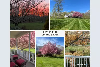 10 Isabell Drive, Madison, CT 06443 - Photo 29