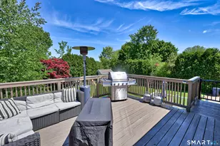 97 Dorothy Ln, Plymouth, CT 06786 - Photo 29