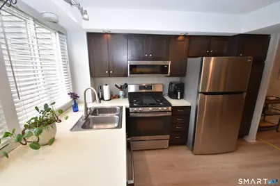 4 Wickhams Fancy #4, Canton, CT 06019 - Photo 7