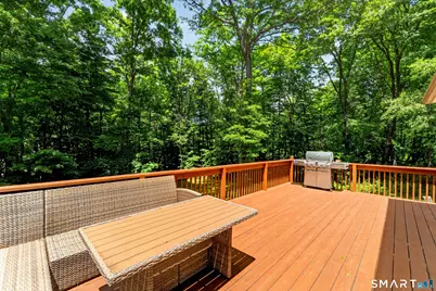 14 Deerfield Drive, Newtown, CT 06482 - Photo 33