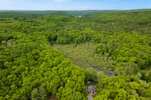 156 Cranberry Bog Rd, Killingly, CT 06239 - Photo 35